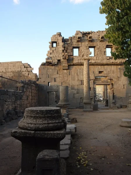 WhatsApp Image 2025-12-24 at 8.36.08 AM